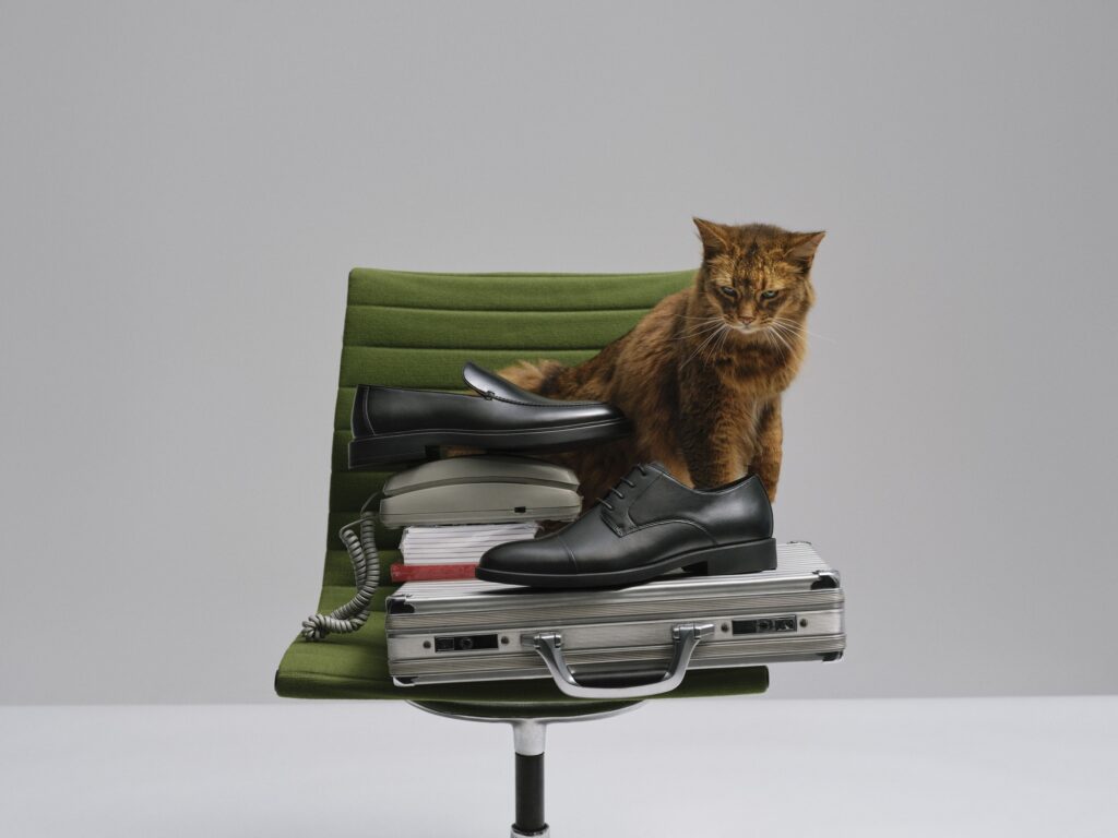 Bata cipele - Make Yourself Comfortable kolekcija 2